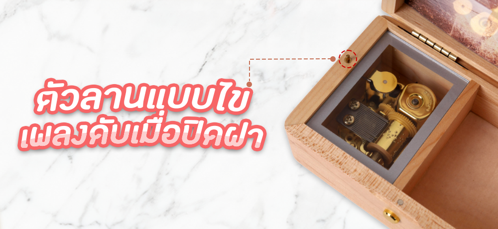 ตัวลานแบบไข เสียงดับเมื่อปิดฝา
